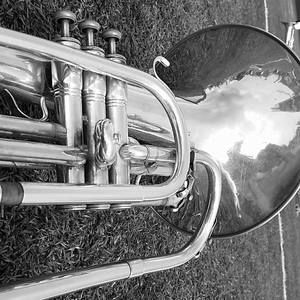 Meet your Posher, Brooklyn